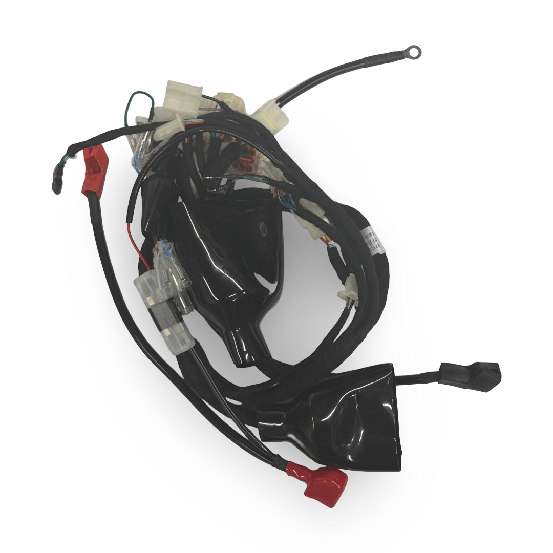MAIN HARNESS