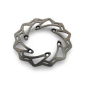 Rear Brake Disc