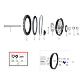 Rear Wheel Bearings and Seals
