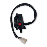 L SWITCH(GON-001)