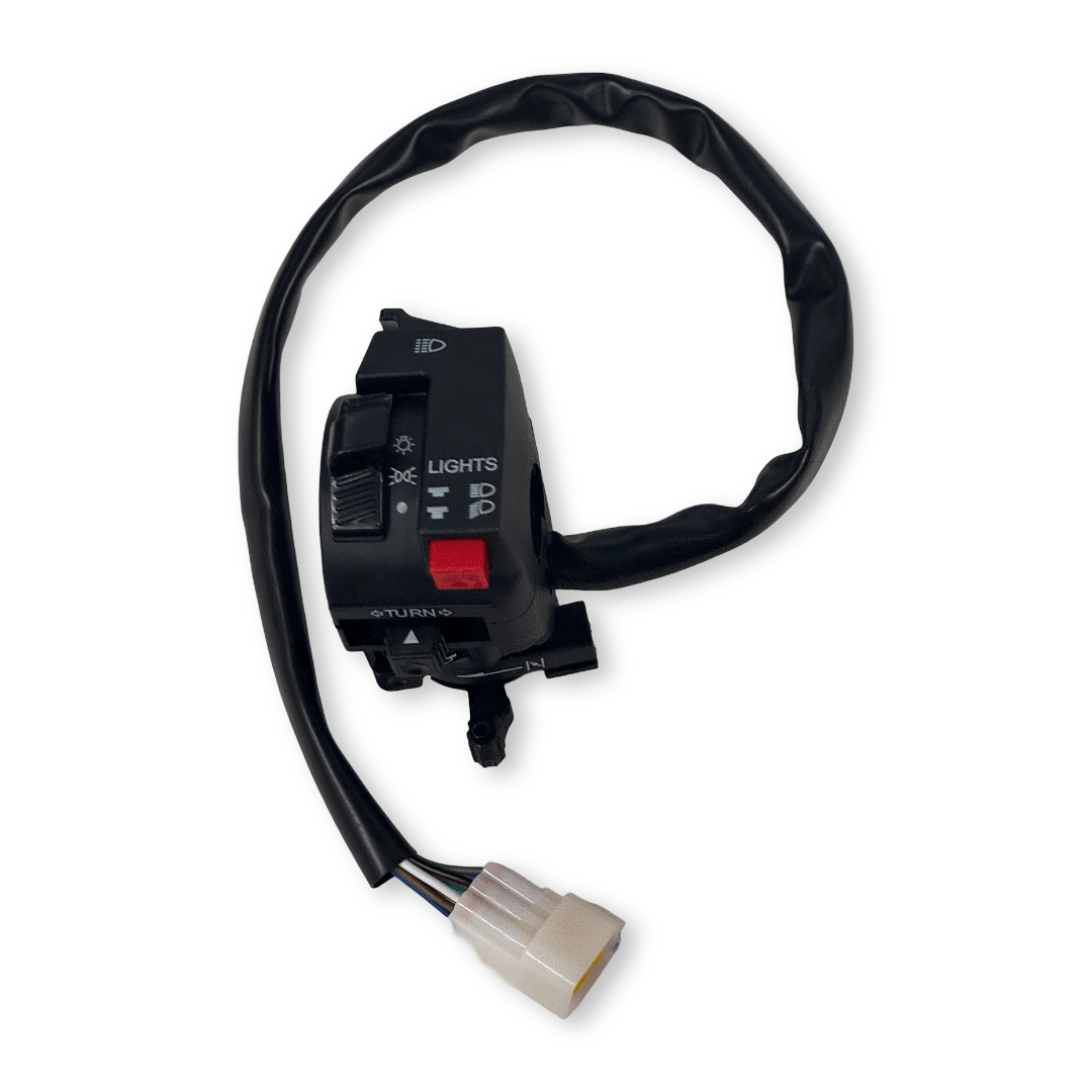 L SWITCH(GON-001)
