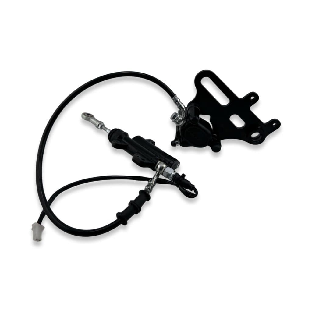 Rear Brake Assembly