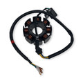 Stator Assy Magneto