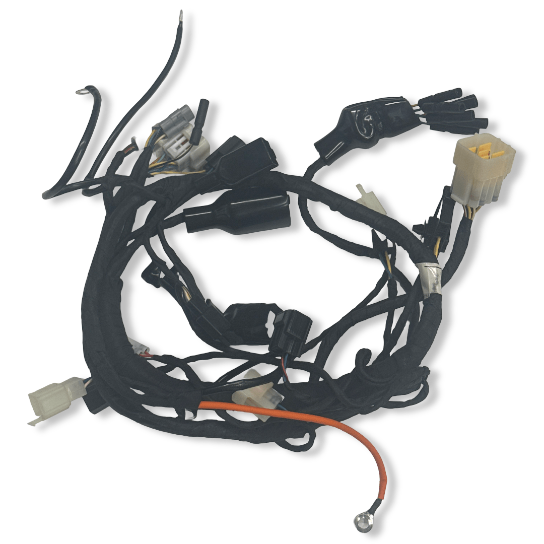 MAIN HARNESS