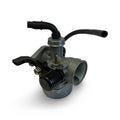 Carburetor PZ19