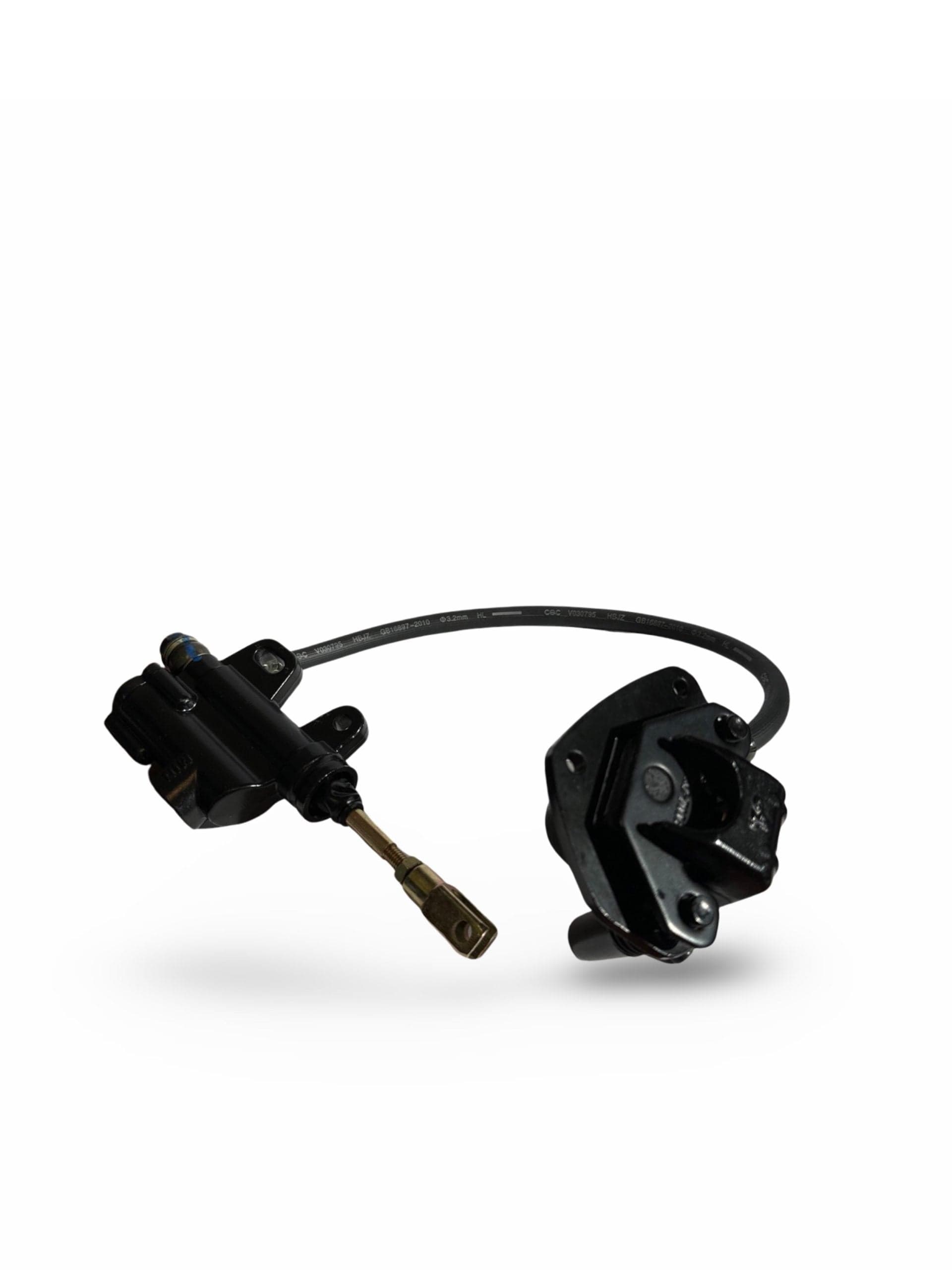 Rear Brake Assembly