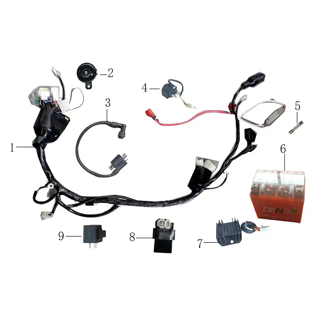 RXB250  Electrical