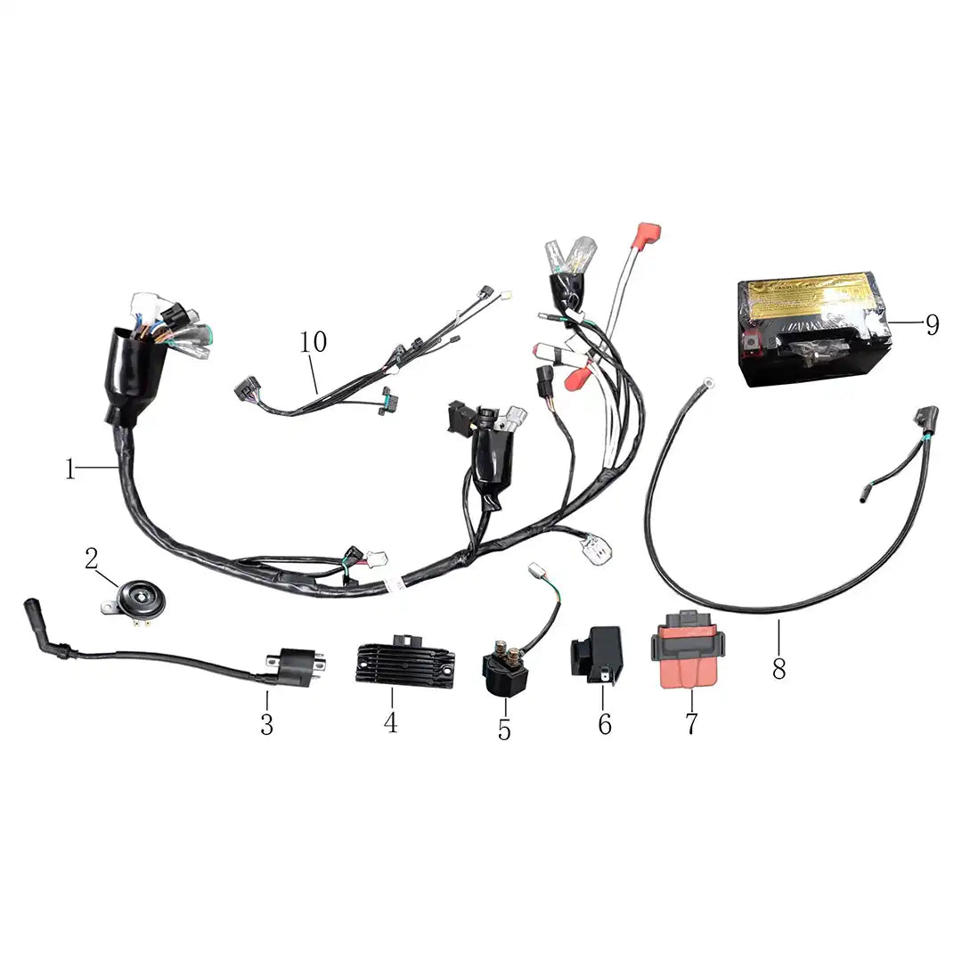 RXB250HO Electrical Assembly